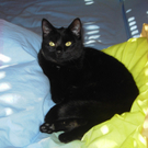 P__ppi im Bett.jpg