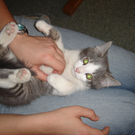 cleo1.jpg