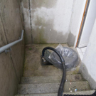 DSC07142.JPG