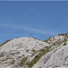 20100804_hochk__nzelspitze_244_luc.JPG