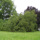 IMG_3101 _Large__JPG-1281106649