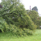 IMG_3104 _Large__JPG-1281106657