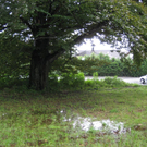 IMG_3123 _Large__JPG-1281106693
