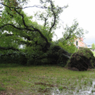 IMG_3125 _Large__JPG-1281106697