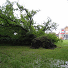 IMG_3126 _Large__JPG-1281106703