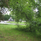 IMG_3132 _Large__JPG-1281106710