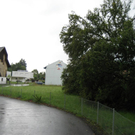 IMG_3134 _Large__JPG-1281106714