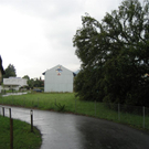 IMG_3136 _Large__JPG-1281106719