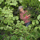IMG_3138 _Large__JPG-1281106722