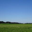 Meckartz 1_8_10 012.jpg