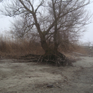 DSC03156_JPG-1281162638