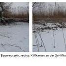 Gutachten 03_JPG-1281162960