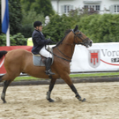 _DSC0860_JPG-1281165516