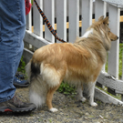 _DSC0870_JPG-1281165579