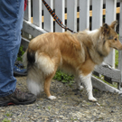 _DSC0873_JPG-1281165659