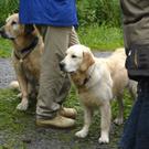 _DSC0877_JPG-1281165723