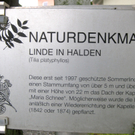 KOE_Patrozinium Halden 3_jpg-1281172851