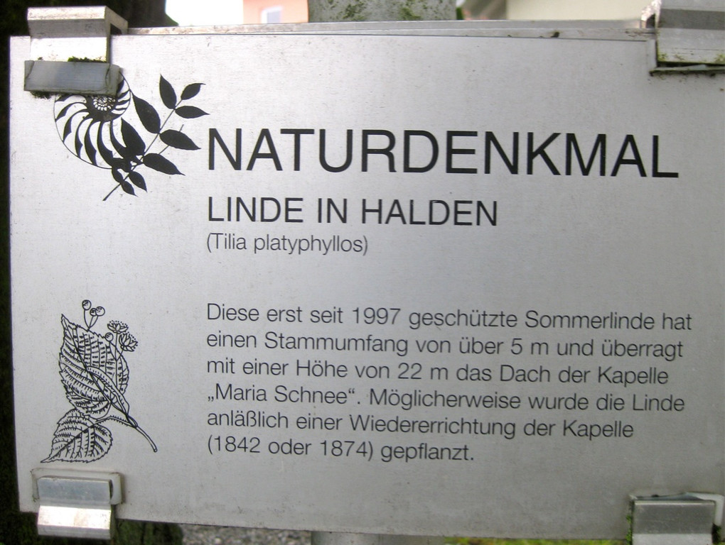 KOE_Patrozinium Halden 3_jpg-1281172851