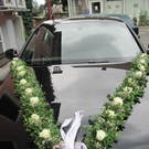 IMG_3832_JPG-1281183323