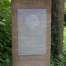 10_JPG-1281188740