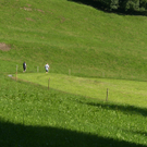 14_JPG-1281188797