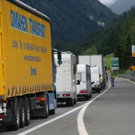 normal_070810staugmaktivnews_20_14_.jpg