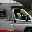 normal_070810staugmaktivnews_20_4_.jpg