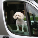 normal_070810staugmaktivnews_20_5_.jpg