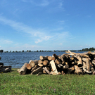 a Holzen 07_08_2010 1_jpg-1281197839