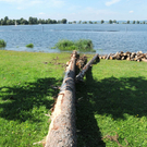 a Holzen 07_08_2010 8_jpg-1281197859