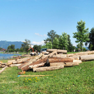 a Holzen 07_08_2010 11_jpg-1281197868