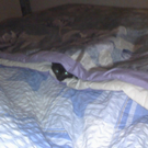 Cornelia Ebner_Wo bin ich.jpg