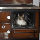 Daniela K__ssler_SAM.JPG