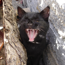 Leonhard Mandl_ Jessy2.JPG