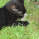 Leonhard Mandl_Jessy3.JPG