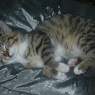 Margit Schratl_ Philipp1.jpg