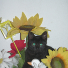 Margret Schratl_Katze m_ Blumen.JPG