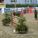_DSC0174_JPG-1281270772