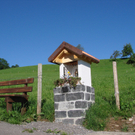 DSC03874_JPG-1281283997