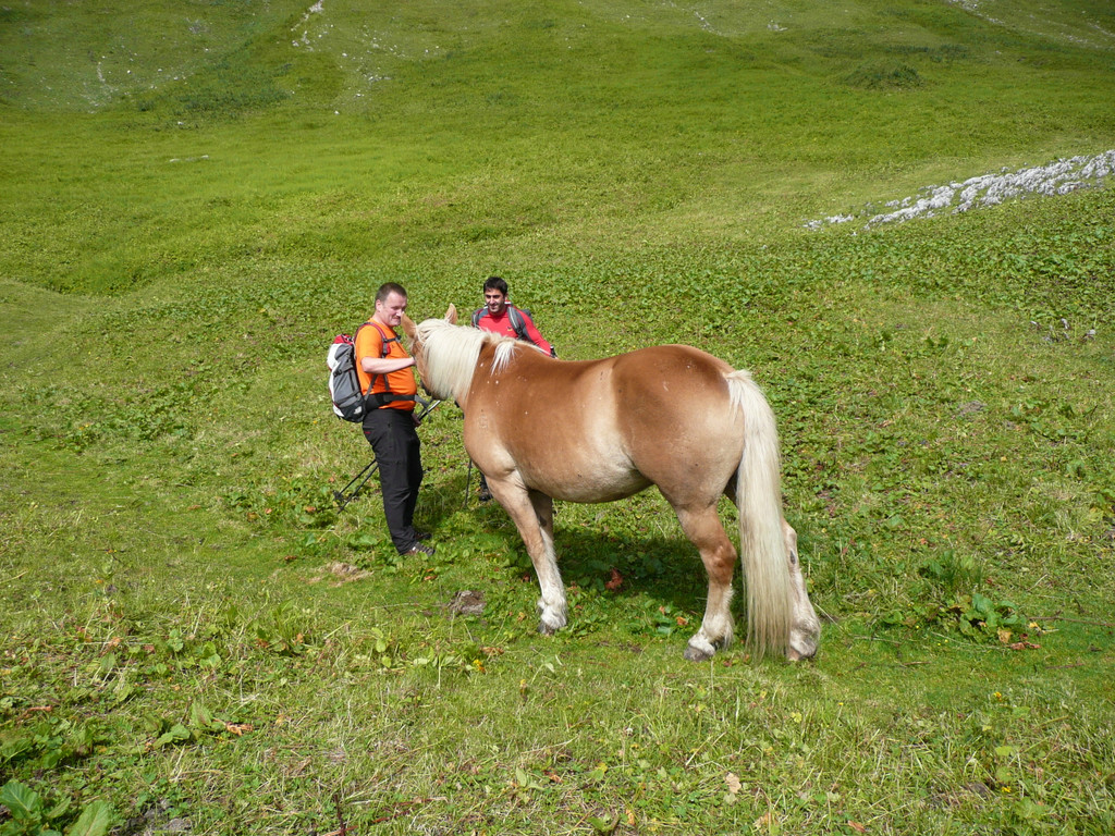 P1070492.JPG