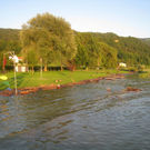 Hochwasser Strandbad Lochau 2010 _27__jpg-1281336105