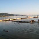 Hochwasser Strandbad Lochau 2010 _31__jpg-1281336156
