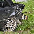 07082010vua94marktlfibaktivnews_20_8_.jpg