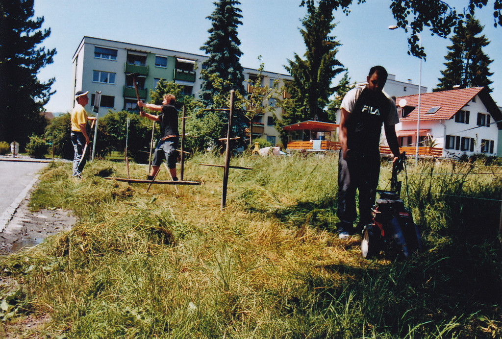 IMG_0005_jpg-1281341695