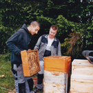 IMG_0013_jpg-1281341776