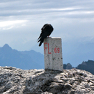 KOE_K__nigswanderung Drei Schwestern 54_jpg-1281340196