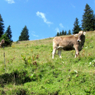 KOE_K__nigswanderung Drei Schwestern 76_jpg-1281340453