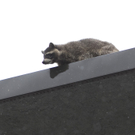 Wasch2.jpg