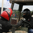 06.JPG