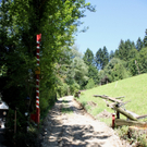 Hochwasser Pfaender Schaeden NACH 12-08-2010 _8__jpg-1281440412